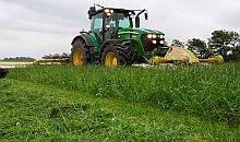 2G Festuloliums – Combining all the good from three forage species