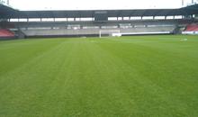 Two new custom-grown pitches ready in 2015