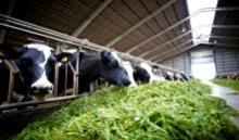 Do you want happier cows and improved profitability?