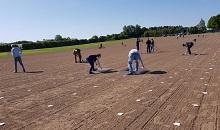 6,500 turf plots sown by hand and with care