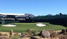 DLF grass for the world's biggest golf tournament