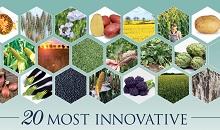 4turf variety hits the "Top 20 list of innovative varieties"